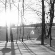 Paysage d'hiver dans un bois de Ham-Nord