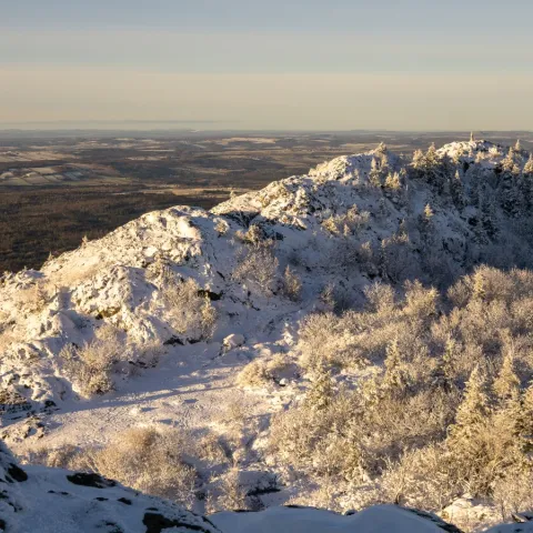 Mont-Ham
