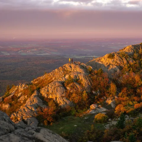 Mont-Ham