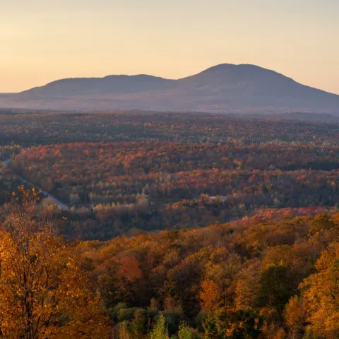 Mont-Ham