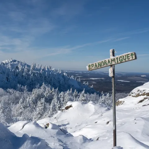 Mont-Ham