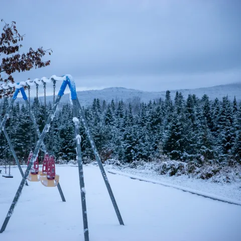 Parc de l'aréna
