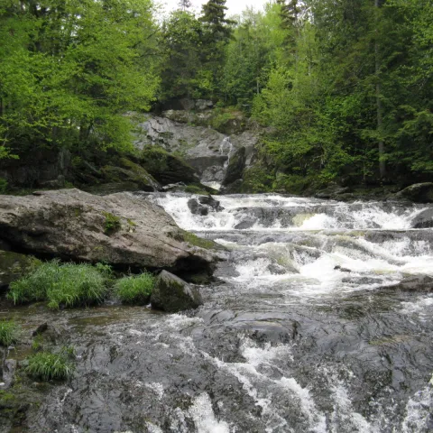 Rivière au Vase