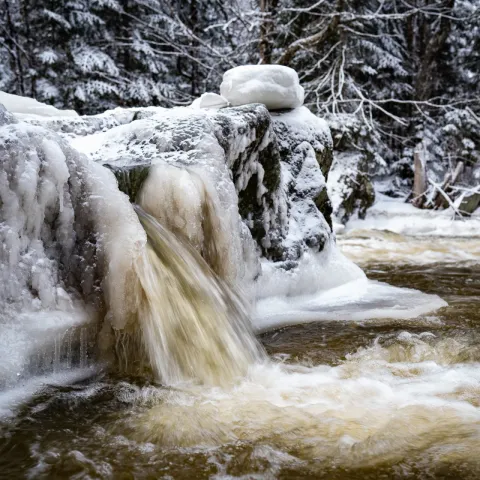 Sentier des cascades