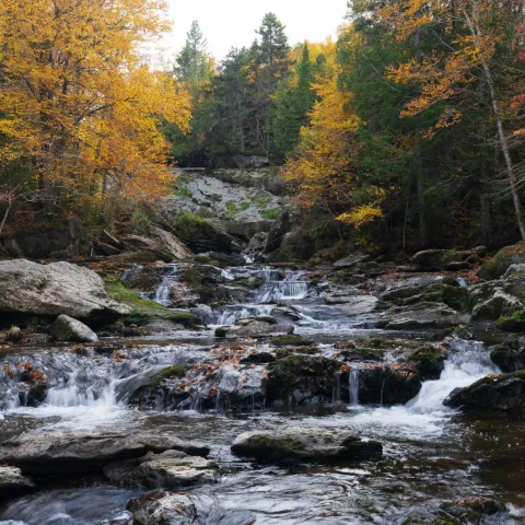 Sentier des cascades