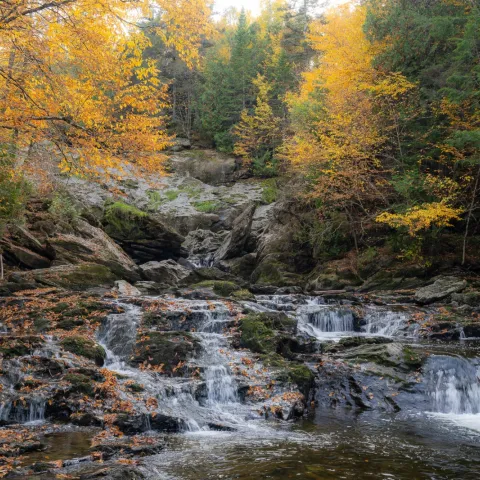 Sentier des cascades
