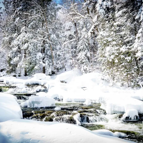 Sentier des cascades