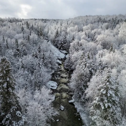 Sentier des cascades