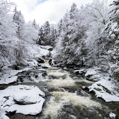 Sentier des cascades