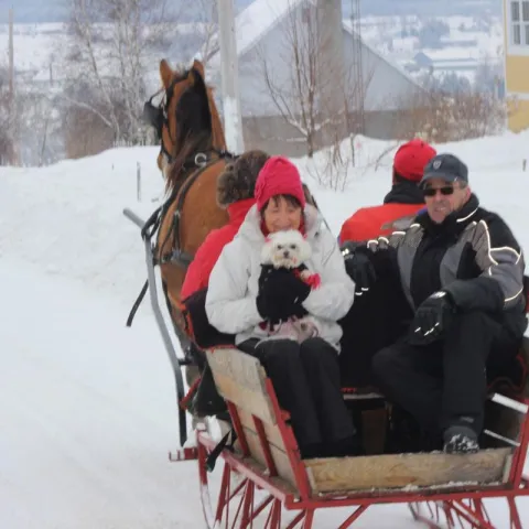 Sleigh ride carnaval