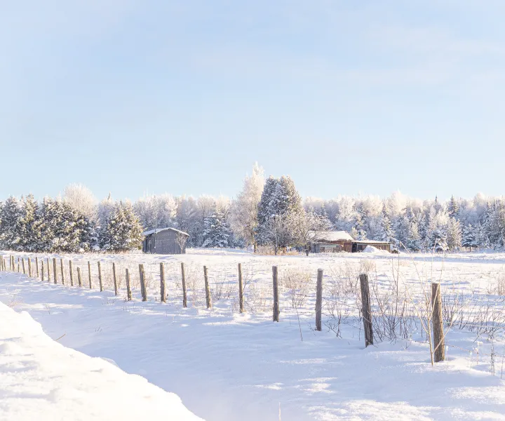 Charles Marceau-Cotton | Carlito Photo 8e Rang en hiver