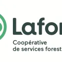 Laforêt