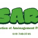CisArt