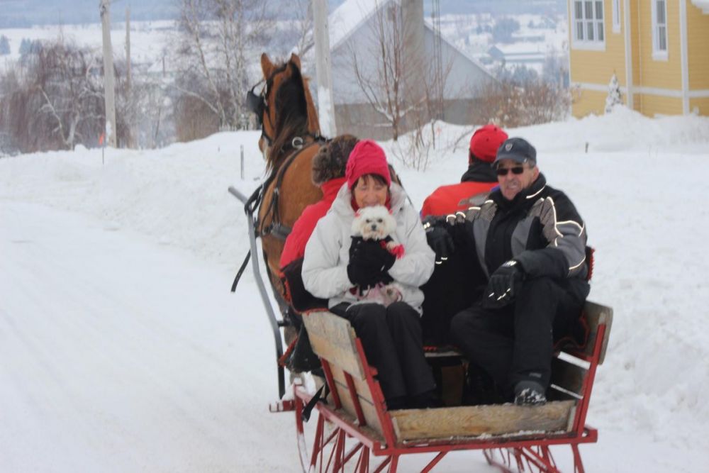 Sleight Ride Carnaval 150e Ham-Nord