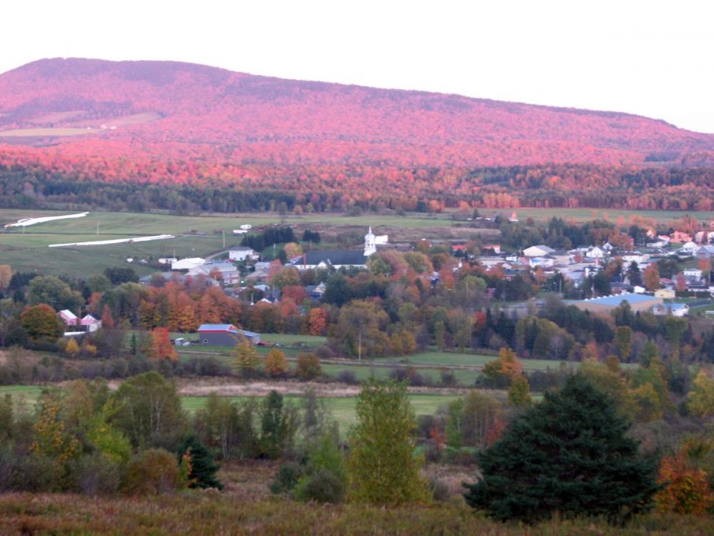 Municipalité de Ham-Nord l'automne